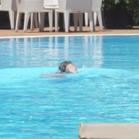 Nia Boutique By Rapo's